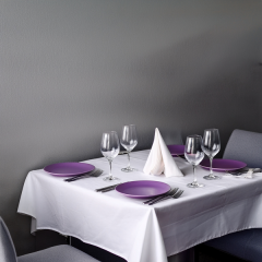 Napkins and Tableware